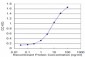 FCN1 Antibody (monoclonal) (M06)